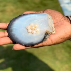 BUY Natural Freshwater Pearl